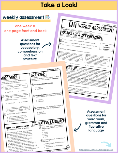 6th-8th Grade ELA Daily Review and Weekly Assessment Bundle