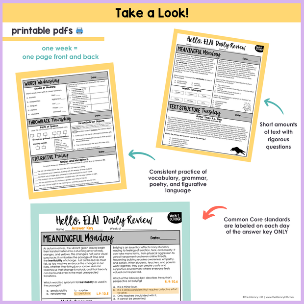 9th Grade ELA Morning Work & Assessment Reading Comprehension Bundle High School