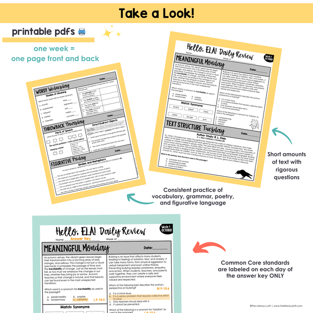 9th-10th Grade ELA Daily Review & Assessment Reading Comprehension Bundle High School