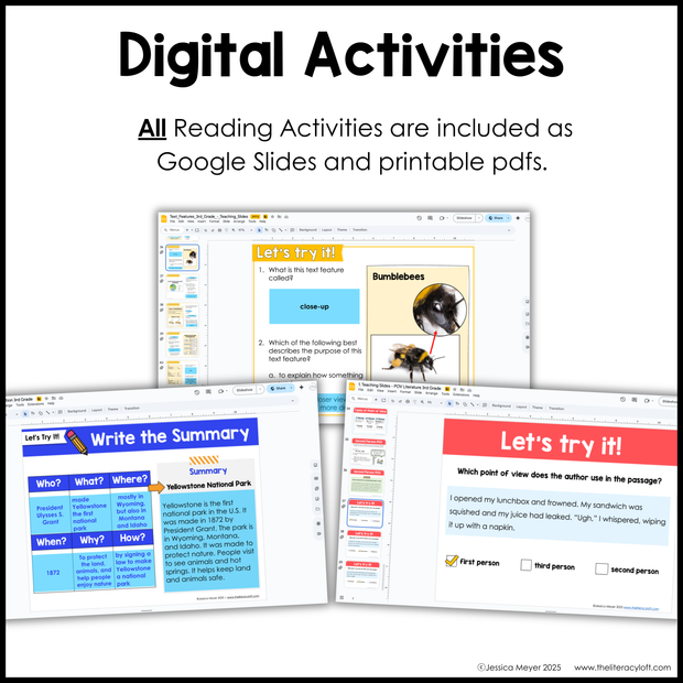 3rd Grade Reading Comprehension Mini Unit Bundle Worksheets Activities Exit Tickets Posters