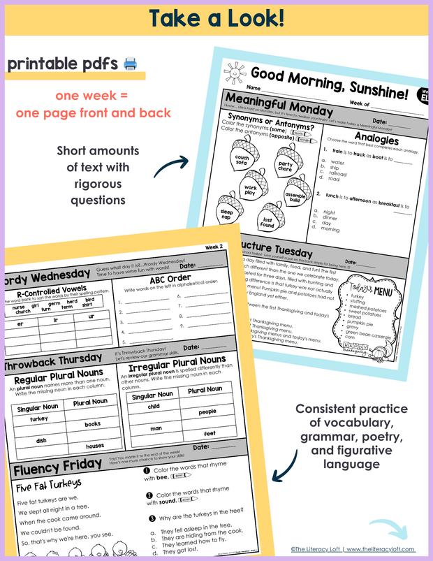 ELA Morning Work 2nd Grade {November} | Distance Learning | Google Slides