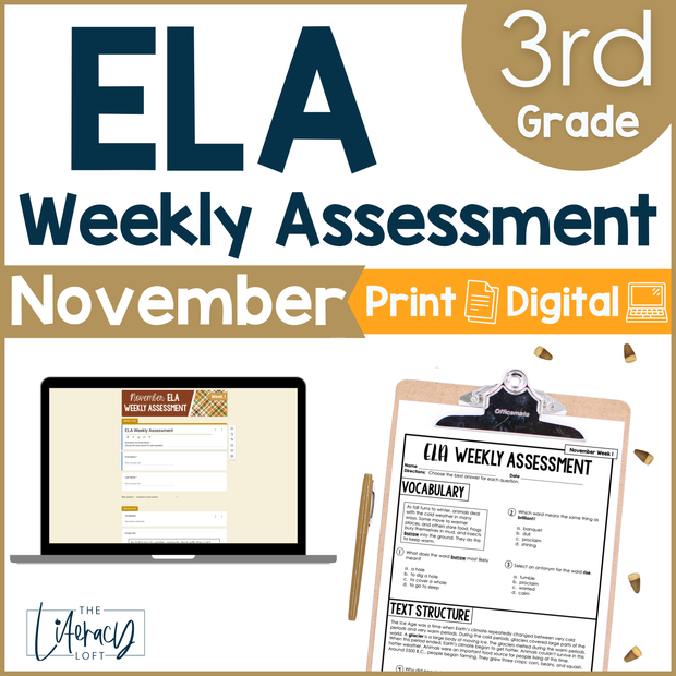 3rd Grade ELA Reading Comprehension November Morning Work Assessment Elementary
