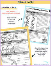 ELA Morning Work 2nd Grade {December} I Distance Learning I Google Slides