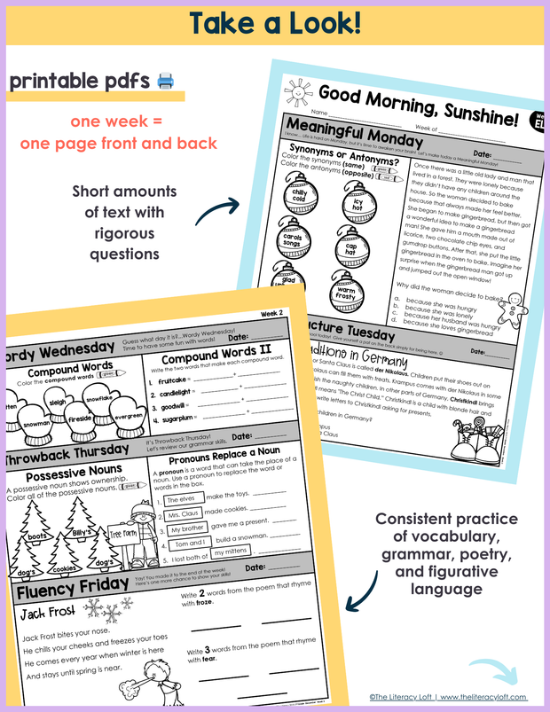 ELA Morning Work 2nd Grade {December} I Distance Learning I Google Slides