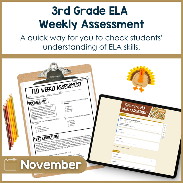 3rd Grade ELA Reading Comprehension November Morning Work Assessment Elementary