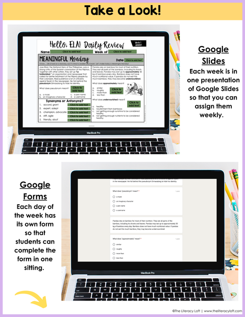 ELA Daily Review 8th Grade {August} | Distance Learning | Google Slides and Forms