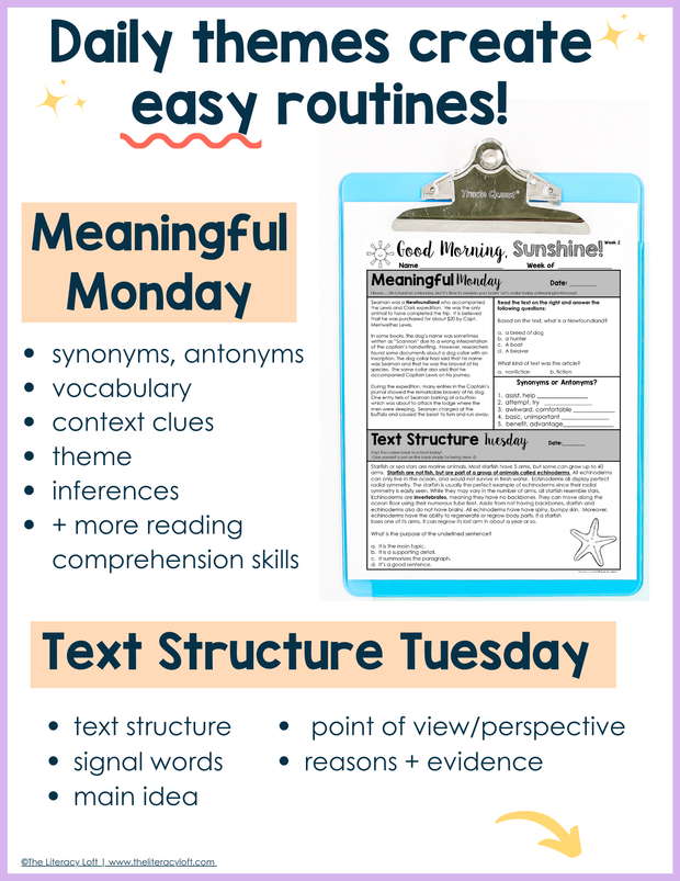 4th Grade ELA Morning Work and Weekly Assessments Bundle