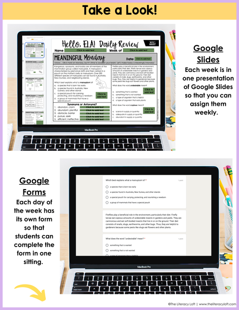 ELA Daily Review 6th Grade {August} | Distance Learning | Google Slides