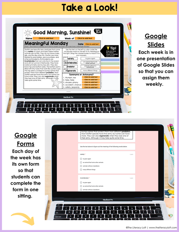 ELA Morning Work 3rd Grade {June} | Distance Learning | Google Slides