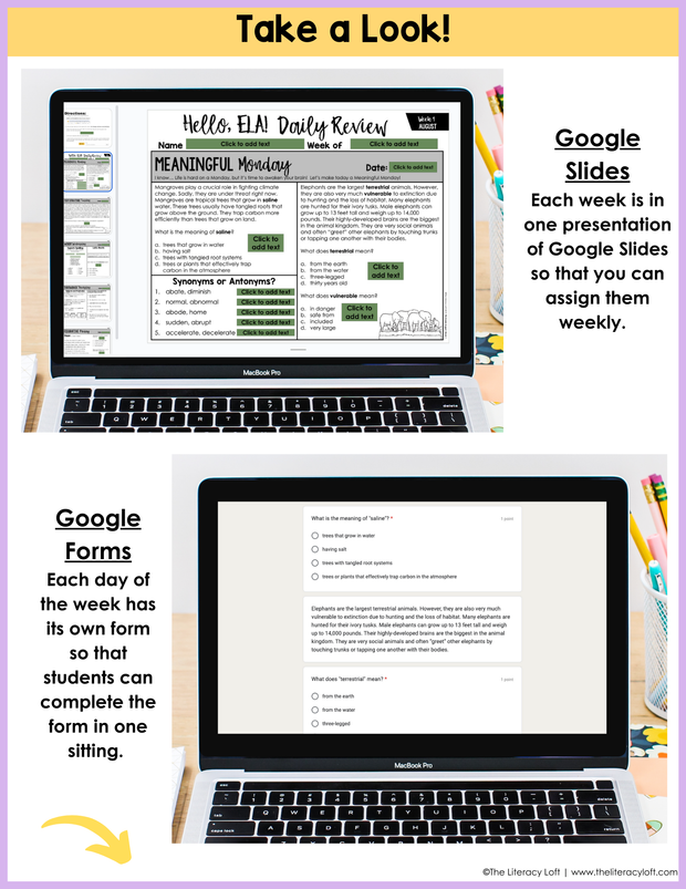 ELA Daily Review 7th Grade {August} | Distance Learning | Google Slides and Forms