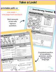 ELA Morning Work 2nd Grade {January} I Distance Learning I Google Slides