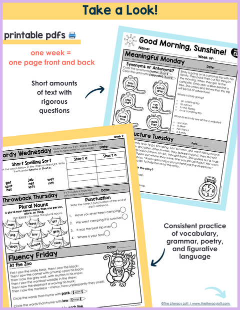 ELA Morning Work 2nd Grade {August} | Distance Learning | Google Slides