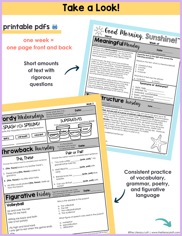 ELA Morning Work 4th Grade {July} | Distance Learning | Google Slides