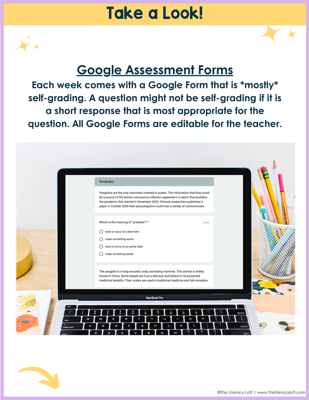 ELA Weekly Assessments 7th Grade  | Printable | Google Forms