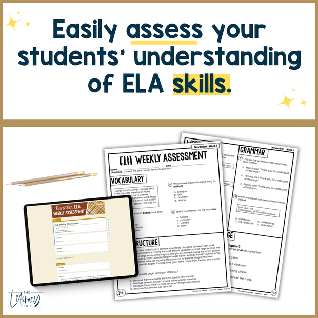 3rd Grade ELA Reading Comprehension November Morning Work Assessment Elementary