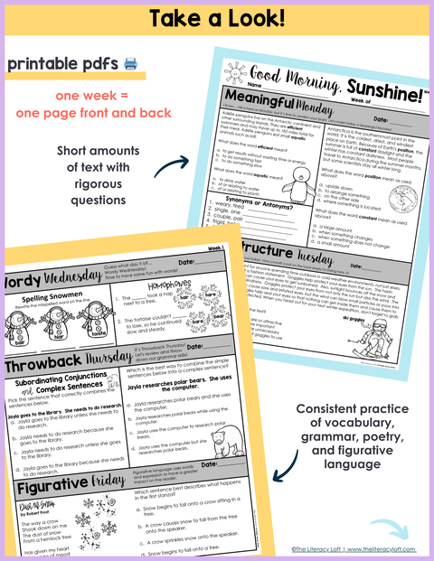 ELA Morning Work 3rd Grade {January} I Distance Learning I Google Slides