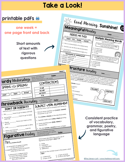 ELA Morning Work 3rd Grade {April} | Distance Learning | Google Slides