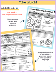 ELA Morning Work 2nd Grade {March} | Distance Learning | Google Slides