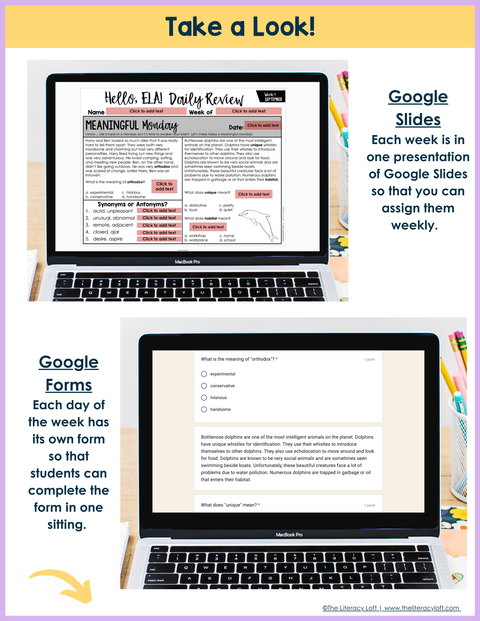 7th Grade ELA Daily Review and Weekly Assessment Bundle