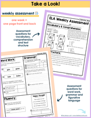 ELA Weekly Assessments 2nd Grade | Printable | Google Forms