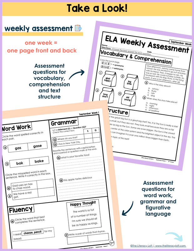 ELA Weekly Assessments 2nd Grade | Printable | Google Forms