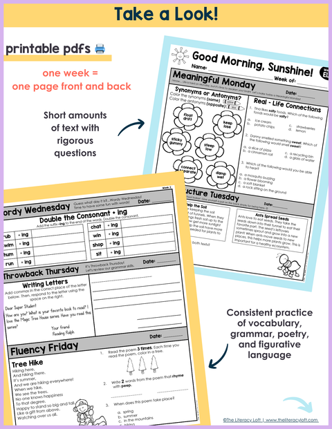 ELA Morning Work 2nd Grade {May} | Distance Learning | Google Slides