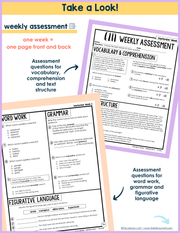 7th Grade ELA Daily Review and Weekly Assessment Bundle