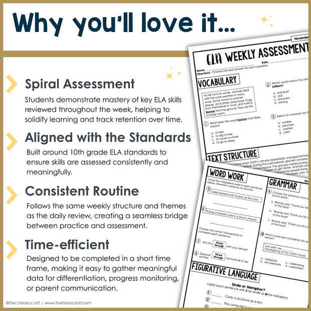 3rd Grade ELA Reading Comprehension November Morning Work Assessment Elementary