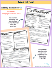 6th Grade ELA Daily Review and Weekly Assessment Bundle