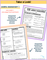 7th-8th Grade ELA Daily Review and Weekly Assessment Bundle