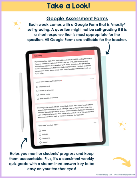 7th Grade ELA Daily Review and Weekly Assessment Bundle