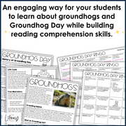 Groundhog Day Reading Comprehension Bingo