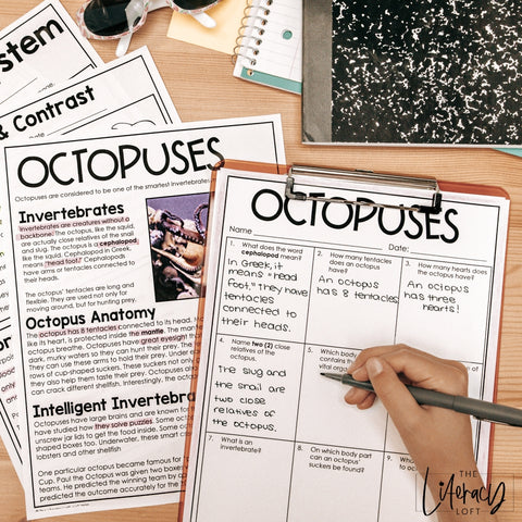 ELA No Prep Packets 3rd Grade Bundle The Literacy Loft