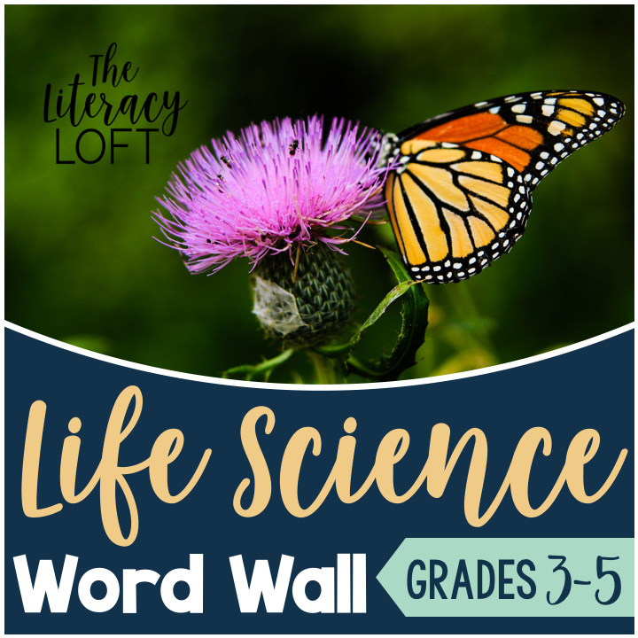 Math Word Wall {5th Grade} – The Literacy Loft