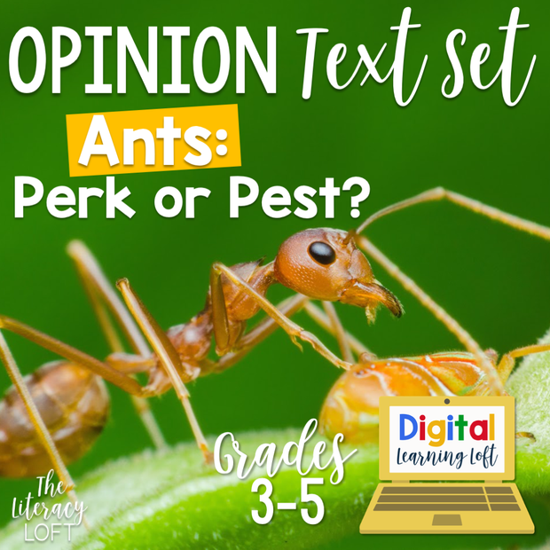 Opinion Text Set {Ants: Perk or Pest?} | Distance Learning | Google Slides