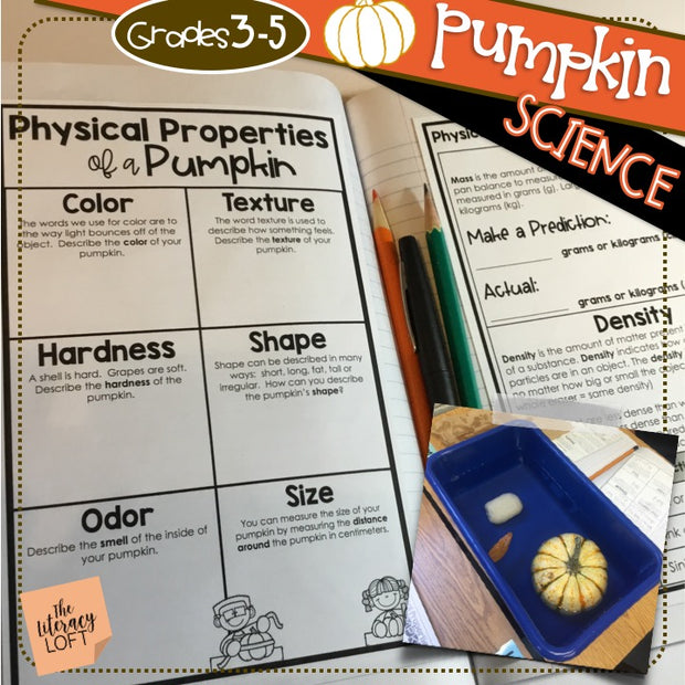 Pumpkin Science {Physical Science Investigation}
