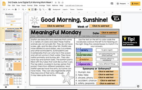 ELA Morning Work 3rd Grade {June} | Distance Learning | Google Slides