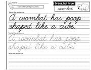 Cursive Writing Journal – The Literacy Loft