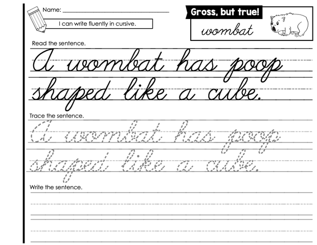 Cursive Writing Journal β The Literacy Loft