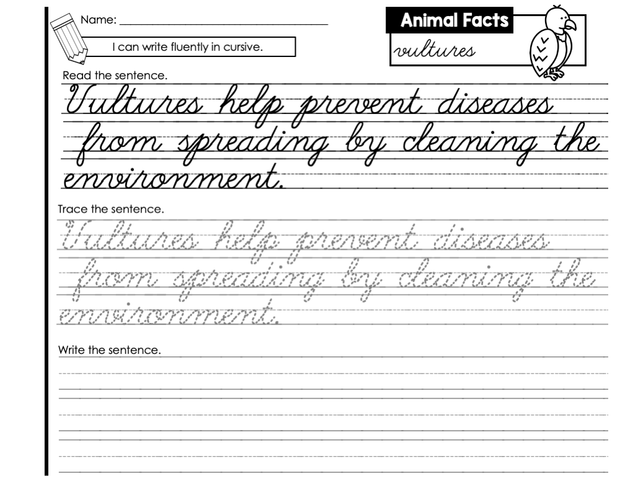 Cursive Writing Journal – The Literacy Loft