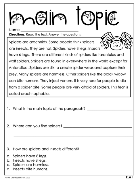 No Prep Packet Bundle 2nd Grade The Literacy Loft